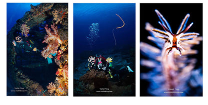 WEEFINE WFL09S Ultra-Wide Angle Conversation Lens M67-60mm Underwater Photography Scuba Diving Camera Housing Wide-Angle Lens